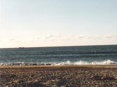 strand-Noordzee-fKS